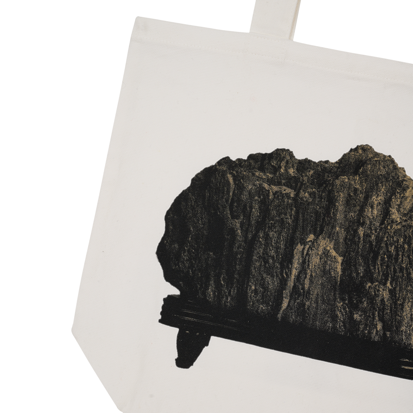 PARASITE Scholar's Rock Tote