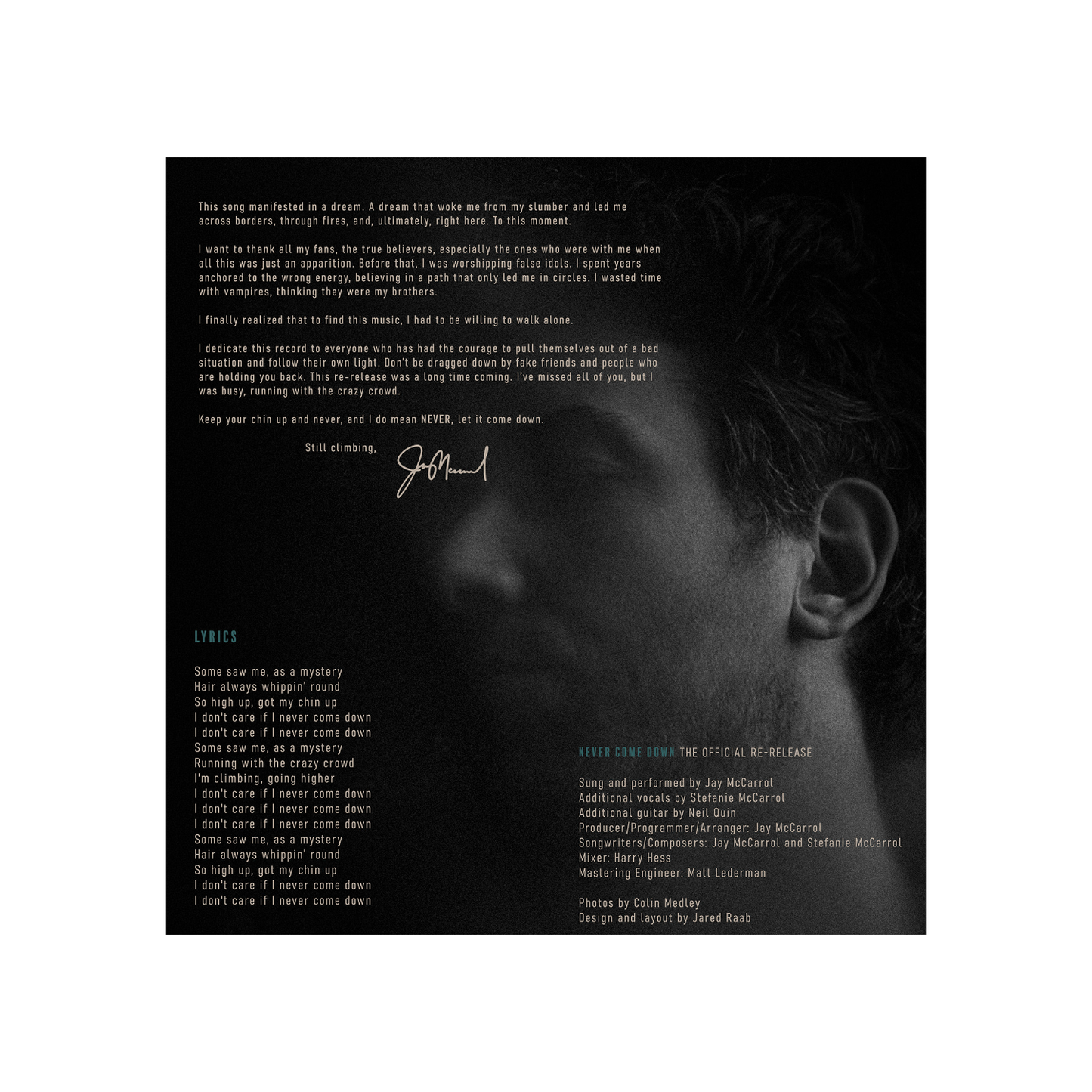 NTBTSTM Never Come Down 12" Vinyl Record