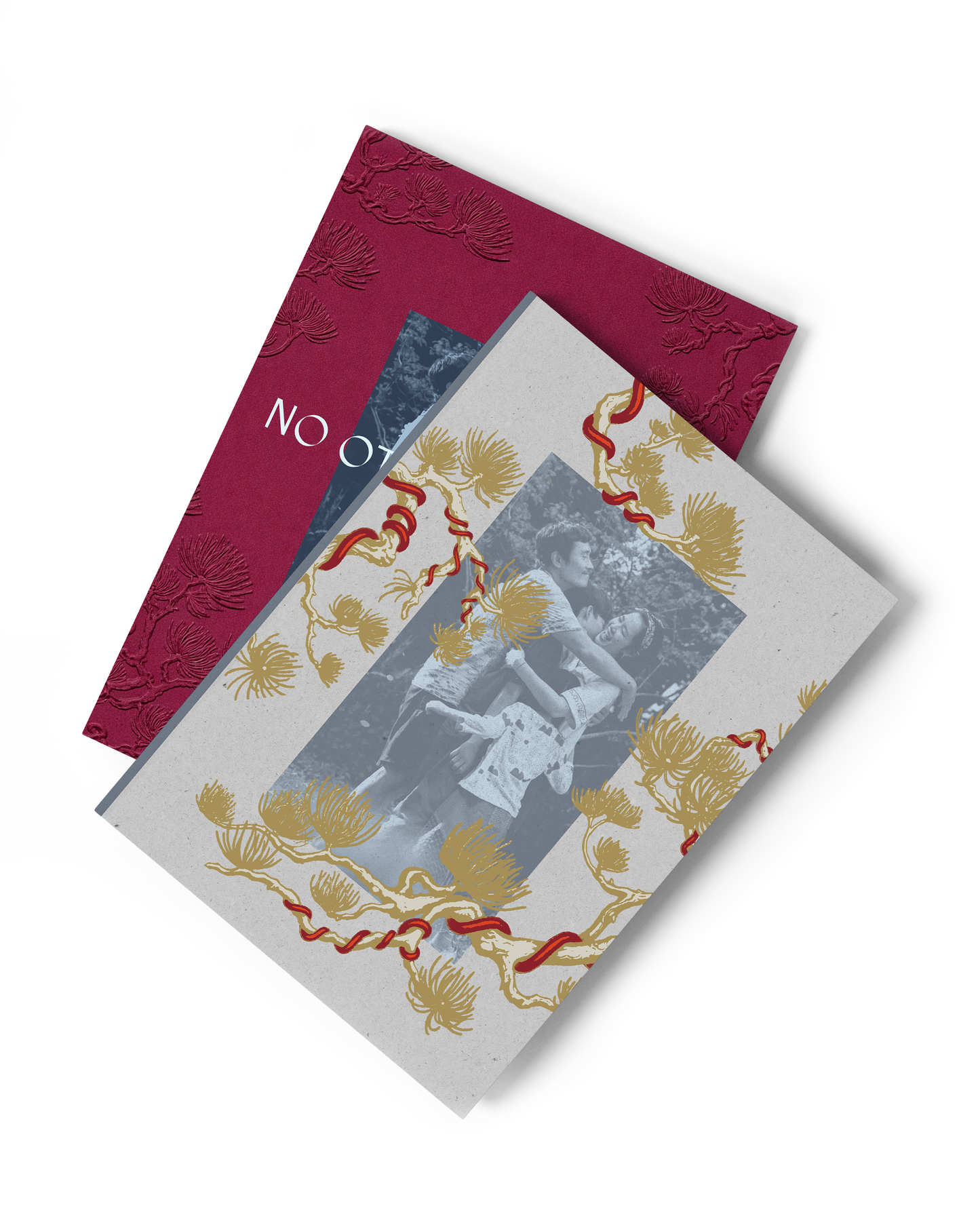 NO OTHER CHOICE: LIMITED EDITION DELUXE 4K & BLU-RAY