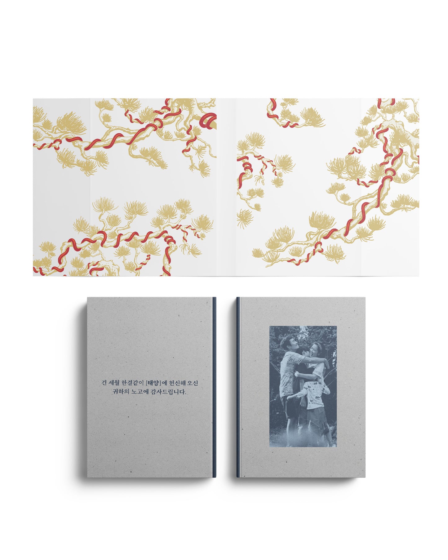 NO OTHER CHOICE: LIMITED EDITION DELUXE 4K & BLU-RAY